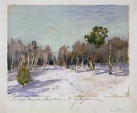 Snowbound Garden