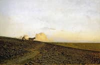 Evening in the Field