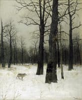 Winter in the Forest