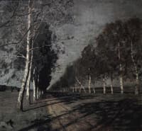 Moonlit Night
