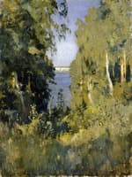 The Gully