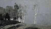 Moonlit Night