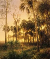 Sunset near Low Creek, Florida