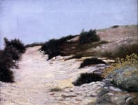 Dune Walk