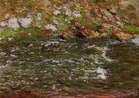 Torrent of  the Petite Creuse at Freeselines