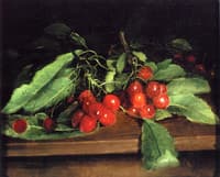 Cherries