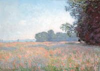 Oat Field