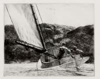 The Cat Boat