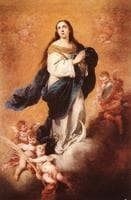 Immaculate Conception