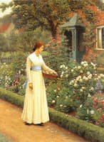 Summer Roses