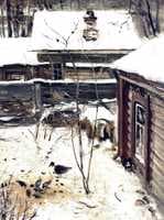 Yard. Winter