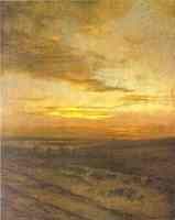 Evening. Birds Flying Away