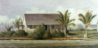 Cottage on Beach with Palm Trees (Florida)