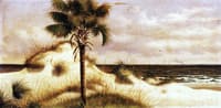 Sand Dunes, Palmetto (Sabal) and Steamboat