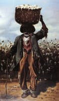 Cotton Picker
