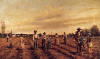 Hoeing Cotton