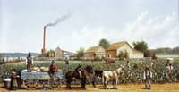 Plantation Wagon Scene