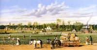 Plantation Economy