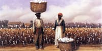 Negro Man and Woman in Cotton Field with Baskets of Cotton
