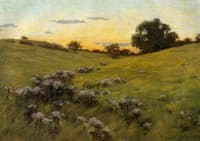 Flowering Field