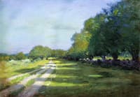 Sun Dappled Path