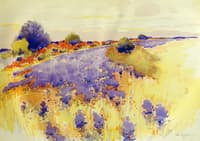 Flowering Field