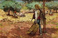 hombre en el Campo