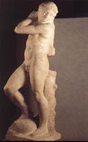 David/Apollo