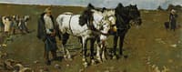 Caballos