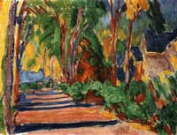 Wooded Road