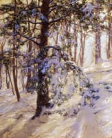 The Bent Branch