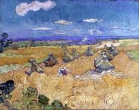 Wheat Stacks with Reaper