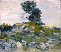 Rocks with Oak Tree