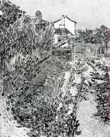 A Garden with Flowers