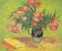 Oleanders