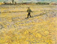 The Sower