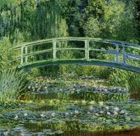 Water-Lily Pond