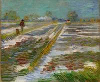 Landscape in the Snow