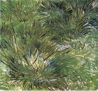 Tussock