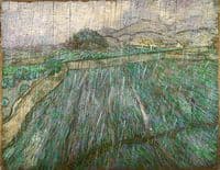 Wheat Field in Rain