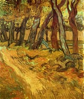 Path in the Garden of the Asylum