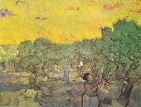 Olive Grove with Pickers
