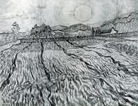 Enclosed Field behind Saint-Paul Hospital: Rising Sun