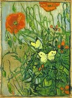 Butterflies and Poppies