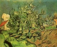 Landscape with Three Trees and a House