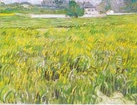 Wheat Field at Auvers with a White House