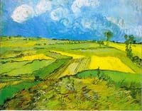 Wheat Fields After the Rain