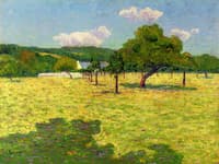 Field and Hills