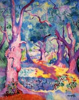 Olive Trees at Cavaliere