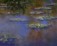 Water-Lilies